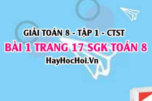 Giải bài 1 trang 17 Toán 8 Tập 1 SGK Chân trời sáng tạo
